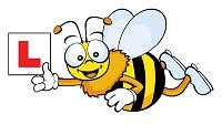 Bee Happy Driving 637211 Image 0